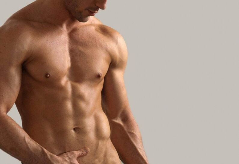 Torso мард