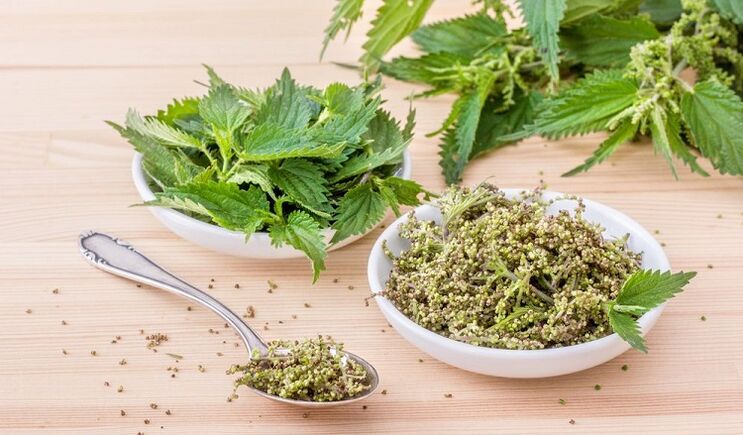 тухмии nettle барои потенсиал