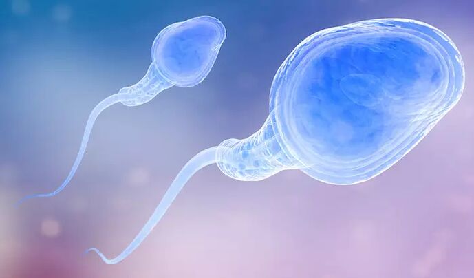 Spermatozoa метавонад дар пеш аз эякулятсияи мард мавҷуд бошад